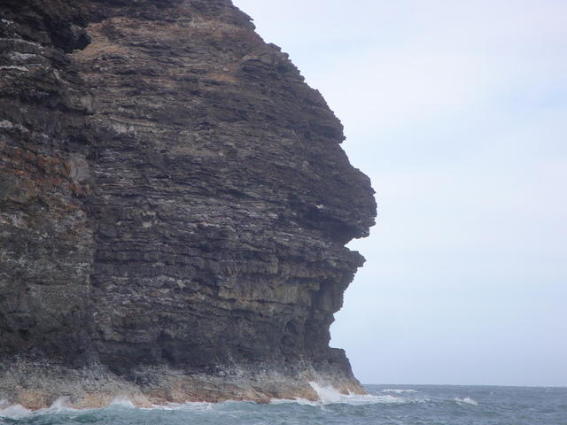 DSC02821