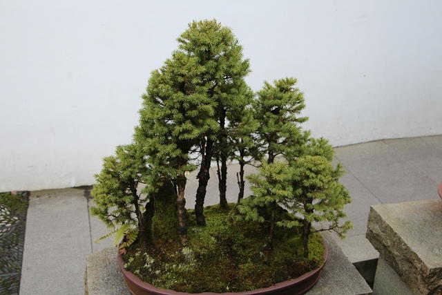 IMG 0608