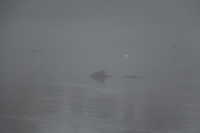 IMG 1770