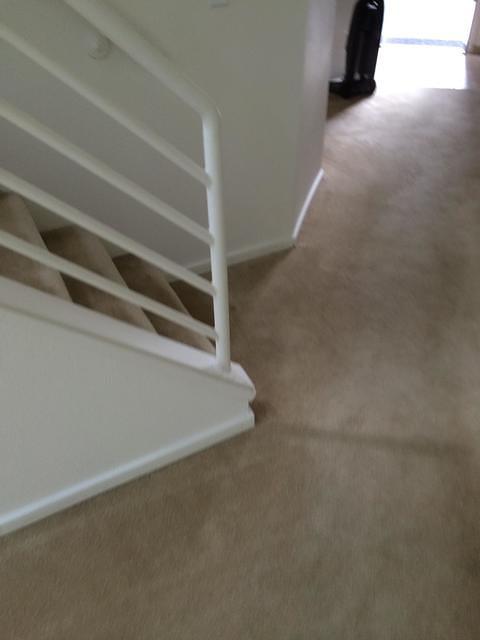 IMG 1870