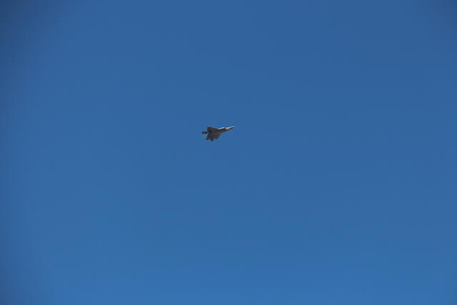 IMG 2245