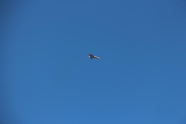 IMG 2246