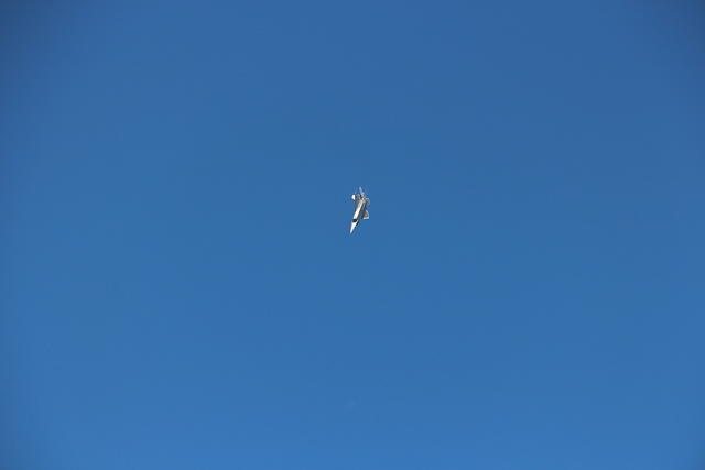 IMG 2247