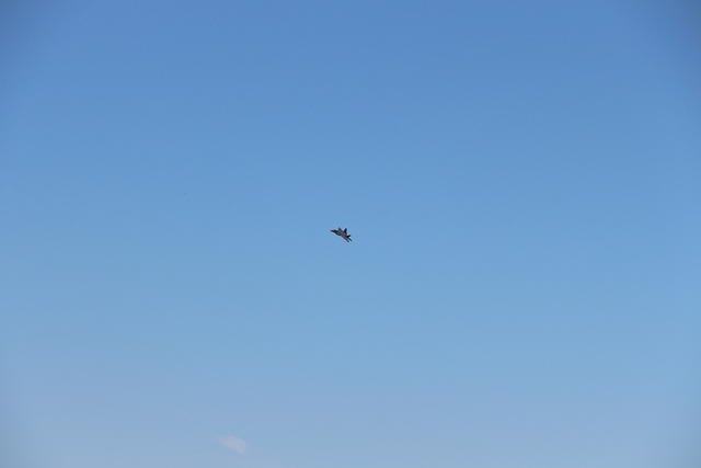 IMG 2253