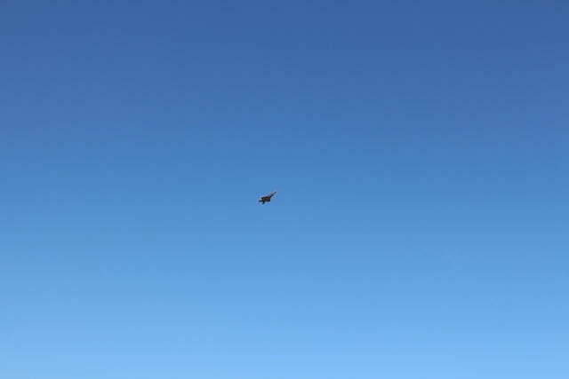 IMG 2259