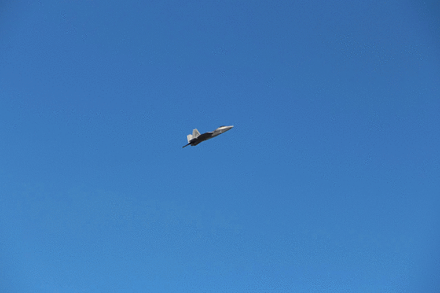 IMG 2260-MOTION