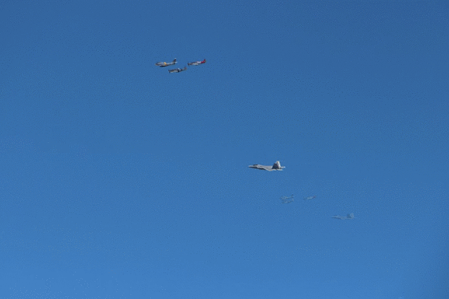 IMG 2270-MOTION