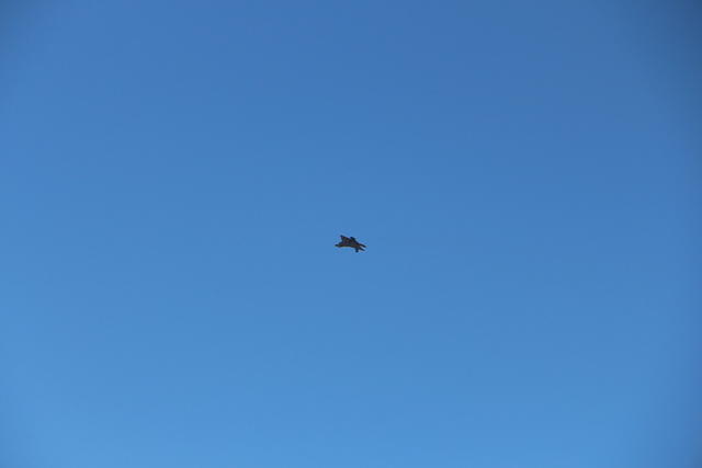 IMG 2273