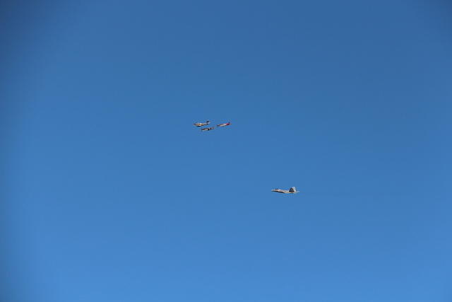 IMG 2277