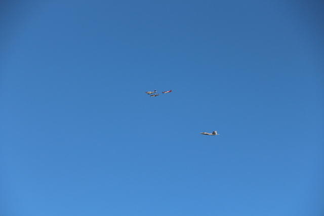 IMG 2278