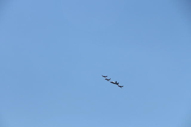 IMG 2287
