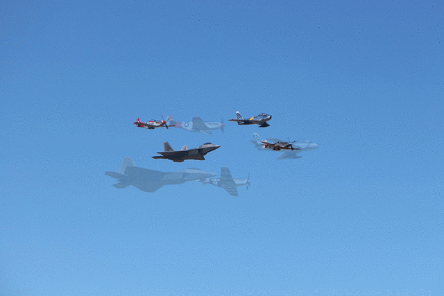 IMG 2312-MOTION