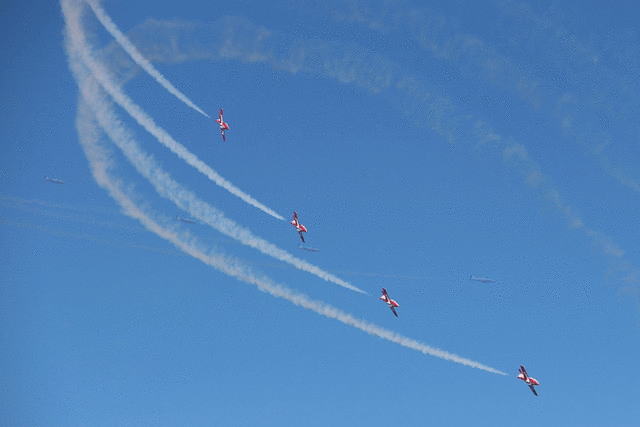 IMG 2512-MOTION