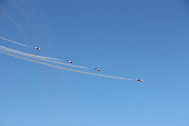 IMG 2515