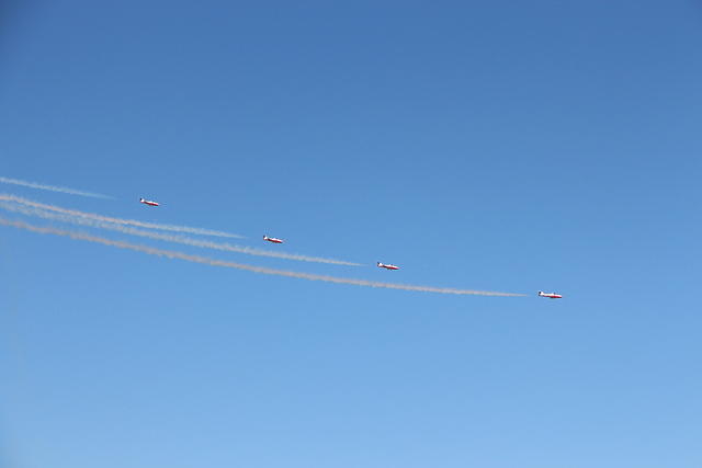 IMG 2516