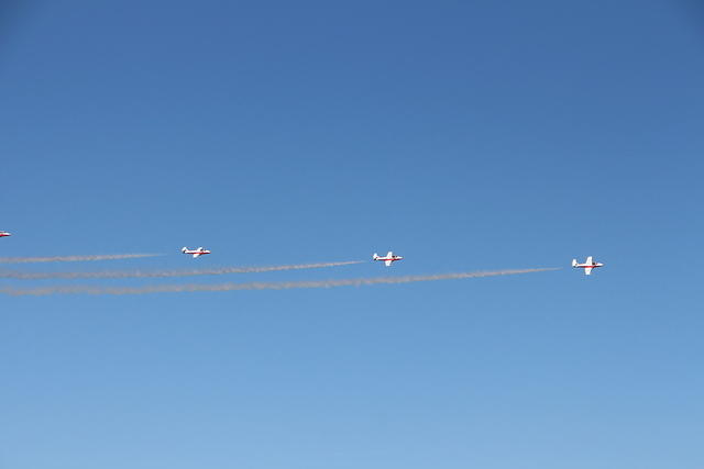 IMG 2518