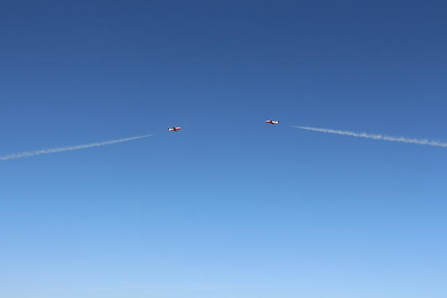 IMG 2524