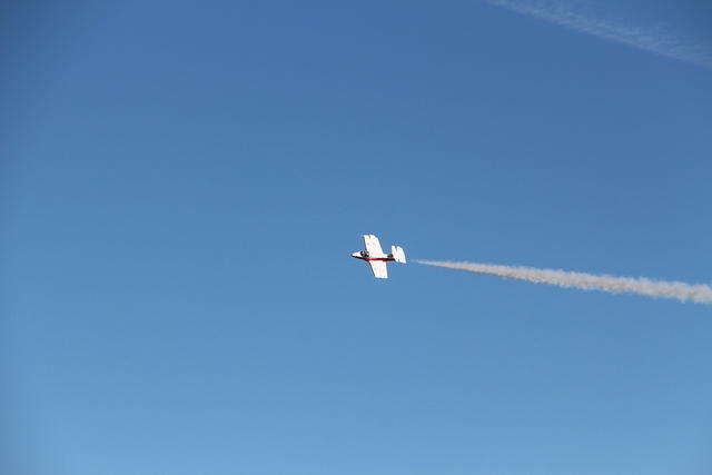 IMG 2525
