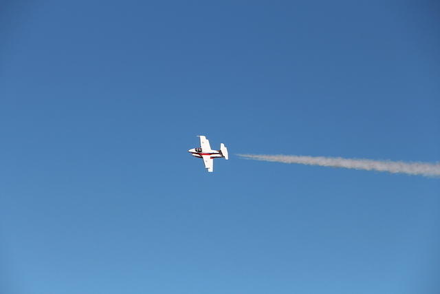 IMG 2527