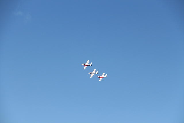IMG 2532