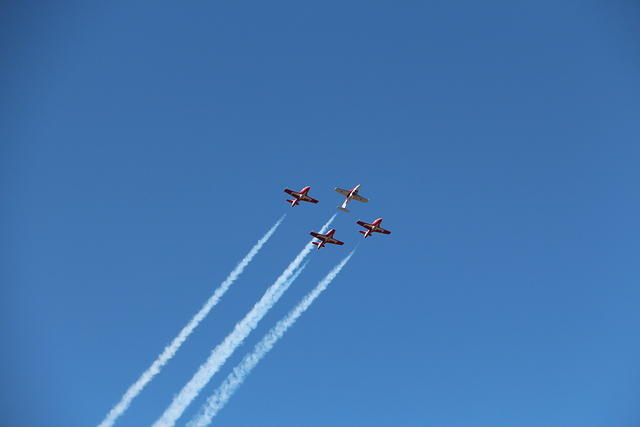 IMG 2535