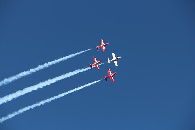 IMG 2537