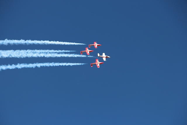 IMG 2538