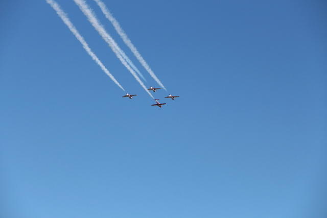 IMG 2542