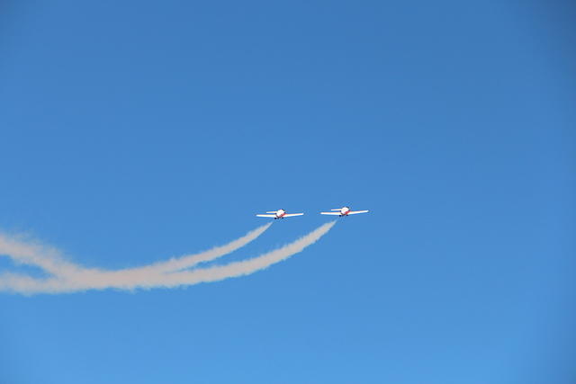 IMG 2544
