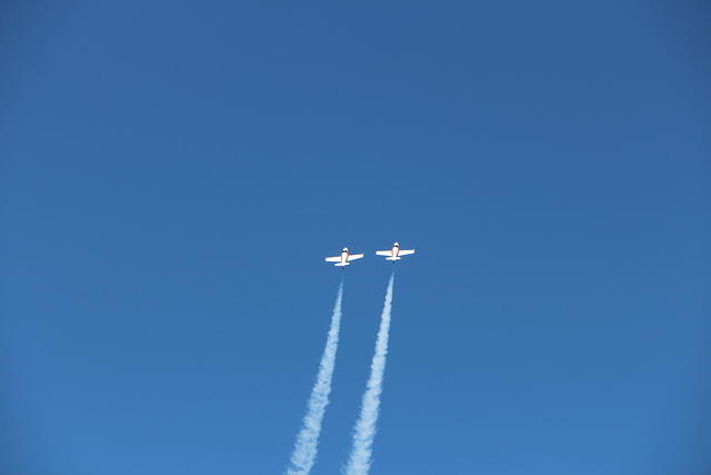 IMG 2545
