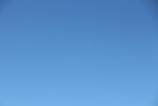 IMG 2560
