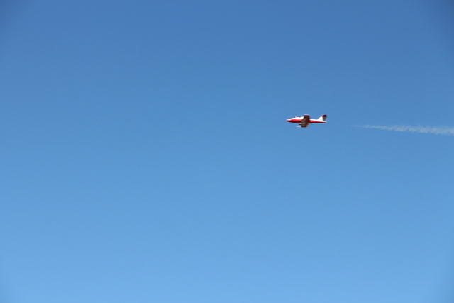 IMG 2562