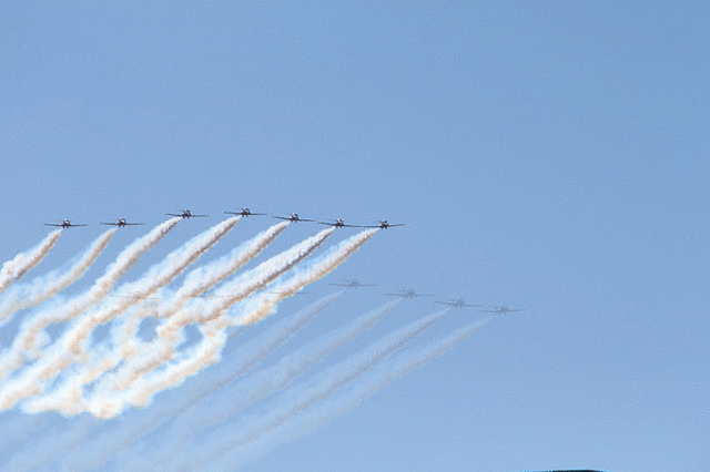 IMG 2614-MOTION
