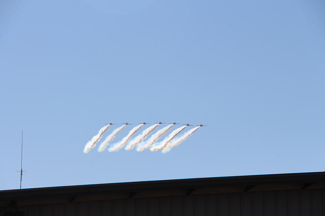 IMG 2614