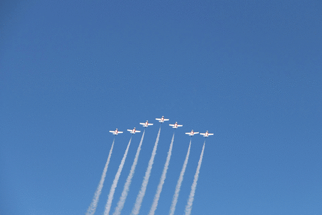IMG 2636-MOTION