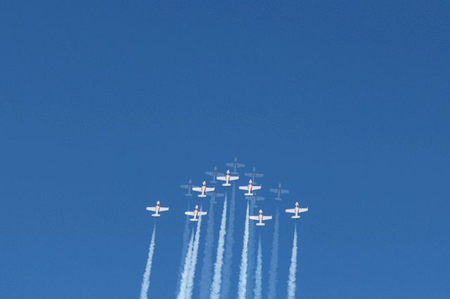 IMG 2643-MOTION