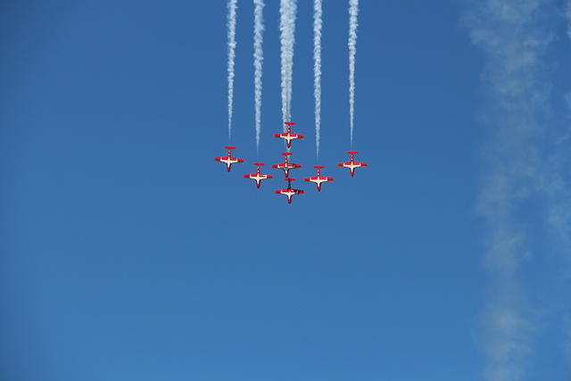 IMG 2658