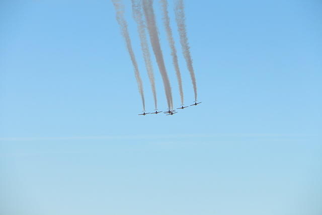 IMG 2664