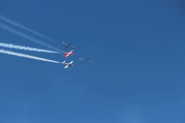 IMG 2709-MOTION