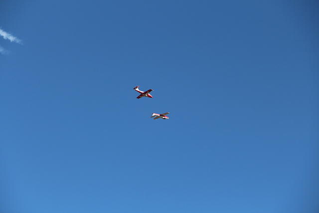IMG 2721