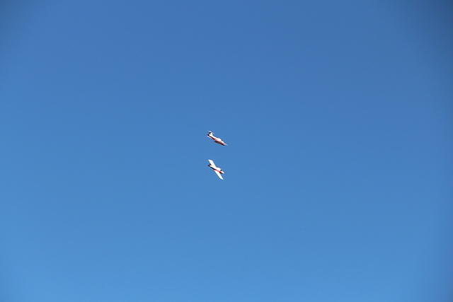 IMG 2723