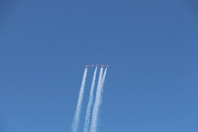 IMG 2727-MOTION