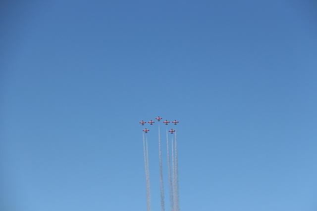 IMG 2729