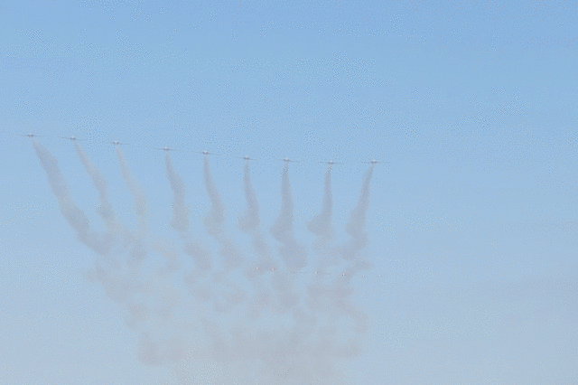 IMG 2805-MOTION