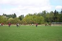 Picture 003