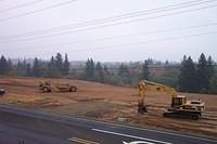 Picture 024
