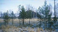 scan0013