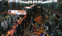 scan0101