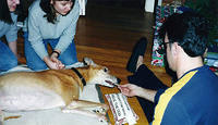 scan0217