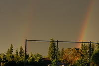 Picture 001